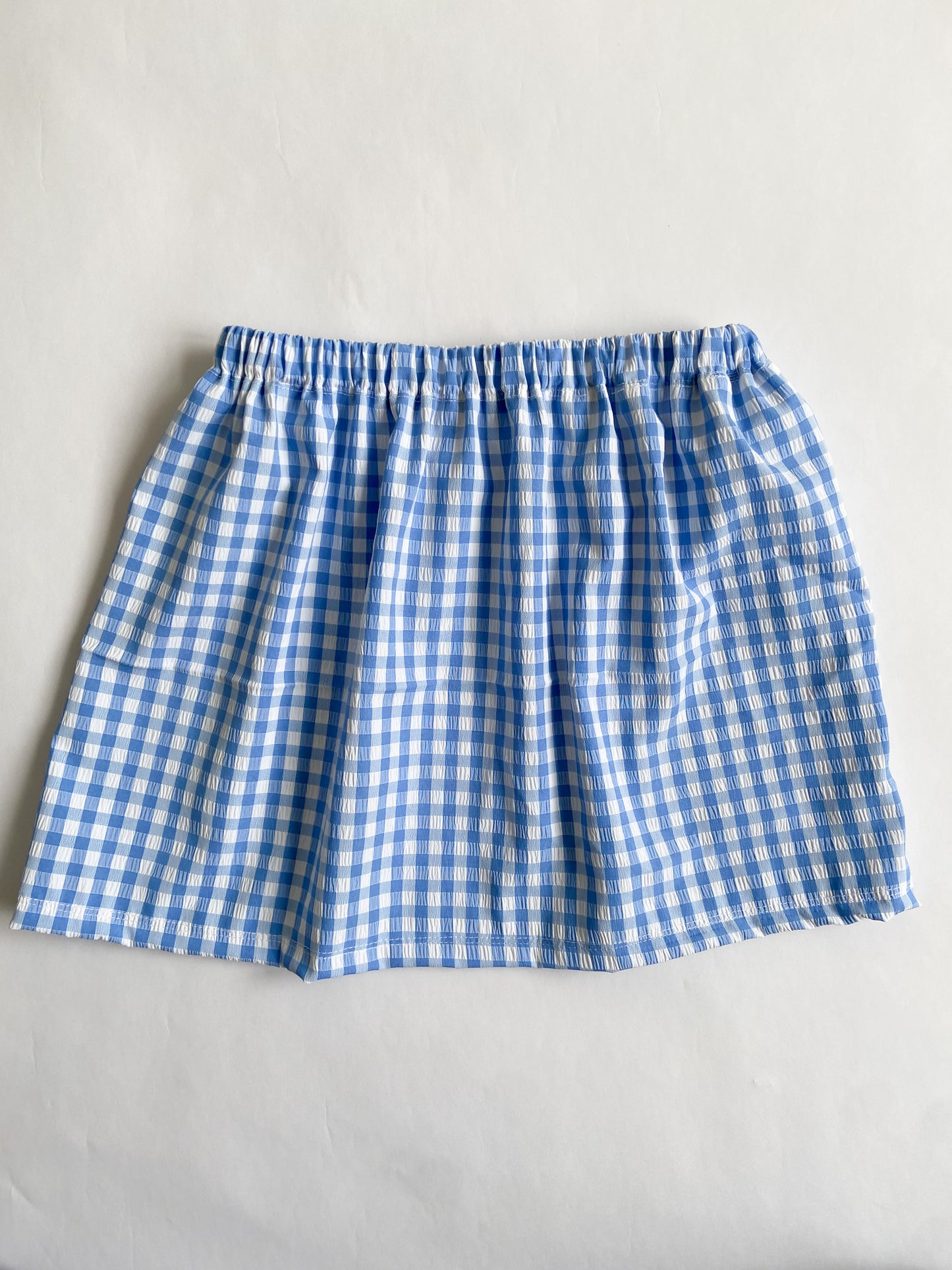 Blue Gingham Skirt