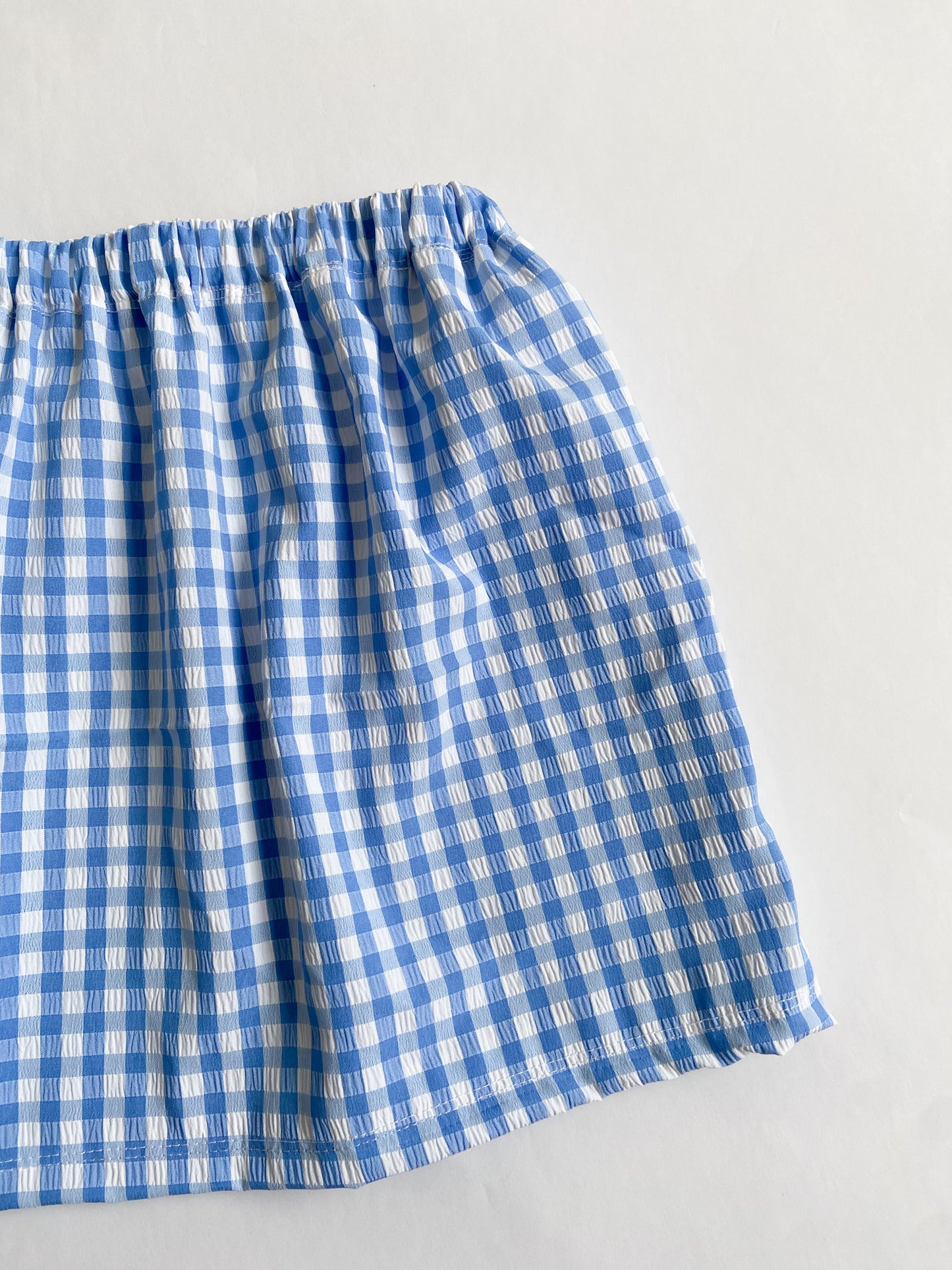 Blue Gingham Skirt